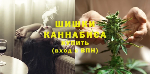 меф Вяземский