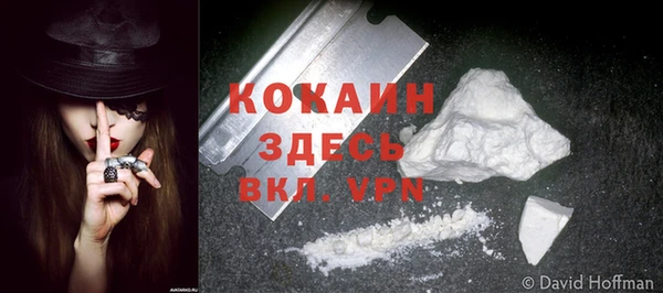 твердый Вязьма