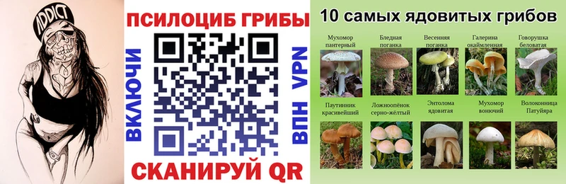 Псилоцибиновые грибы Cubensis  Саранск 